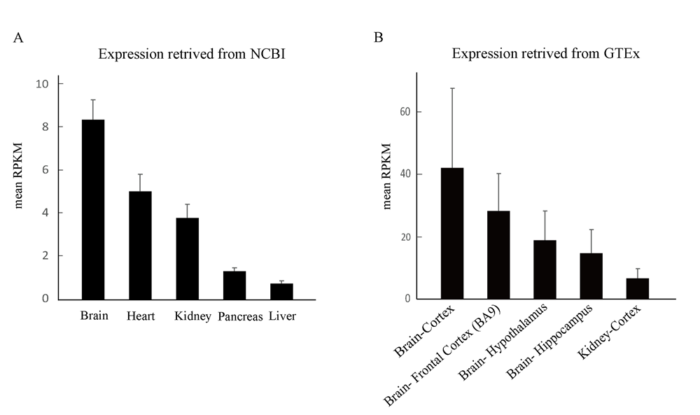 新发现:原多囊肾基因PKD1是新的重要的癫痫致病基因(图2) 2.png